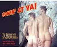 50s Male Porn - The Men of the 50's, Naked and In-Depth - The Gay & Lesbian Review
