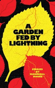 A Garden Fed By Lightning